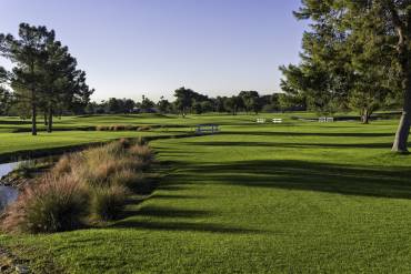 Módulo 10 – Entomología (insectos)