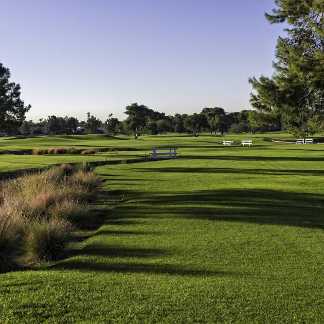 Módulo 10 - Entomología (insectos)