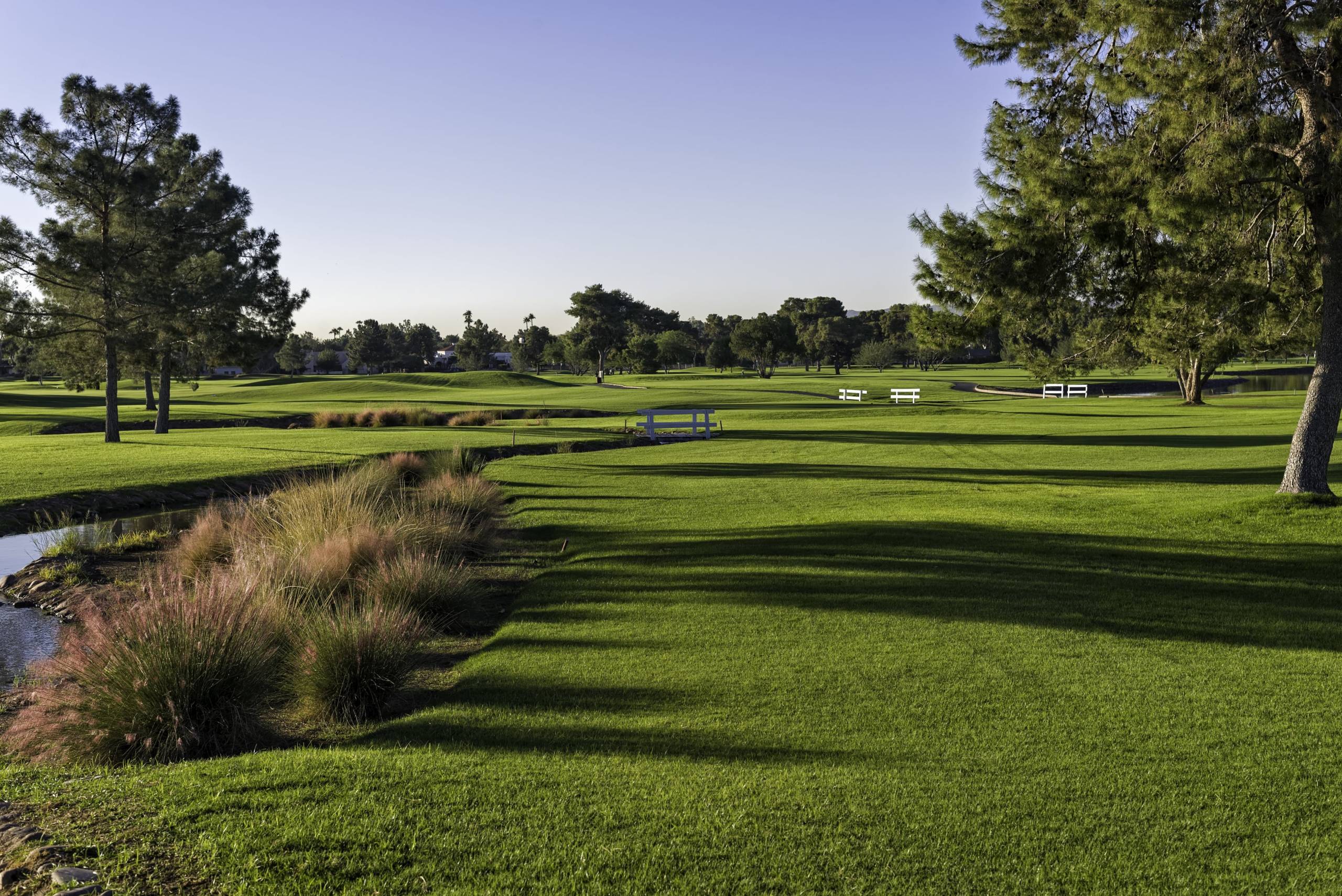 Cursos personalizados