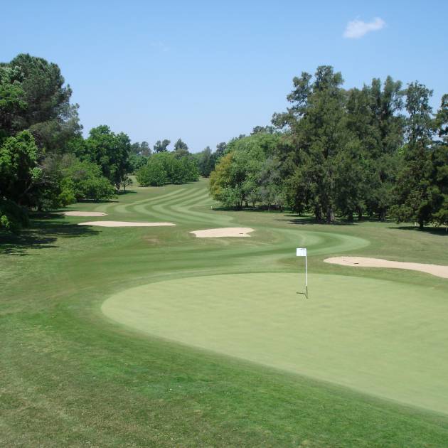 Módulo 17 - Arbolado