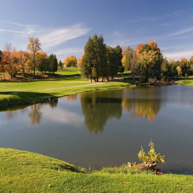 Módulo 2 - Botánica y sistemática