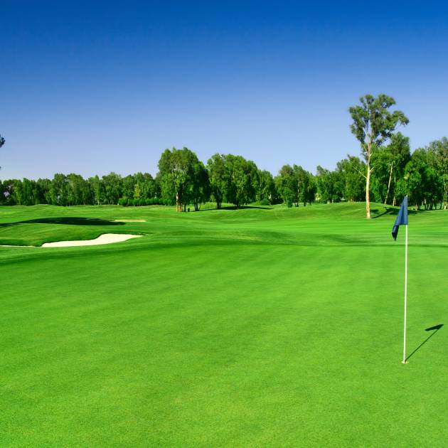 Módulo 7 - Fitopatología (enfermedades)