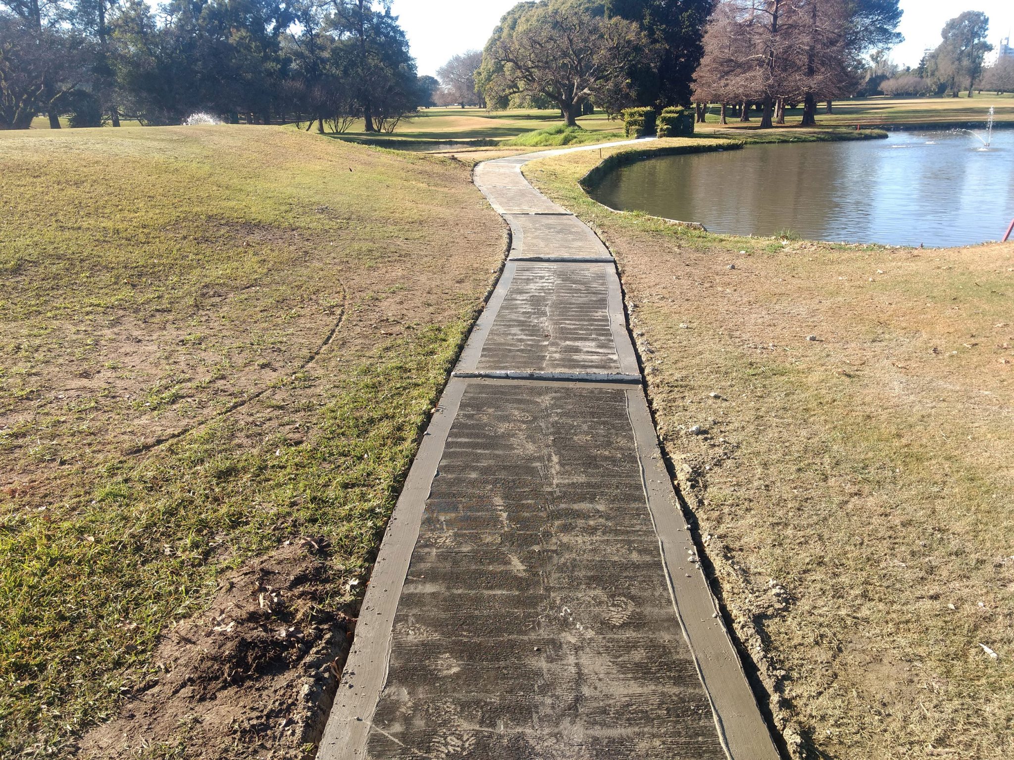 Caminos “hechos en casa” | Un espacio verde en la web